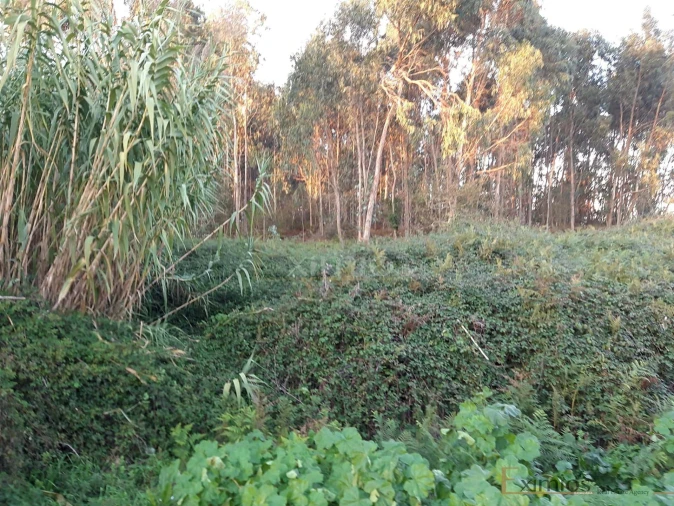 Terreno para Venda em Póvoa de Varzim, Beiriz e Argivai Foto 3