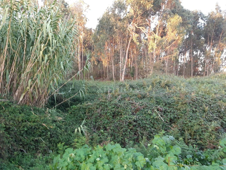 Terreno para Venda em Póvoa de Varzim, Beiriz e Argivai Foto 3