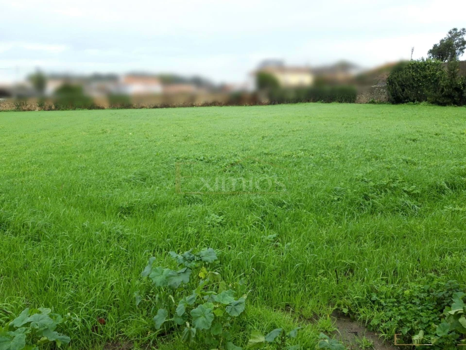 Terreno para Venda em Touguinha e Touguinhó Foto 2