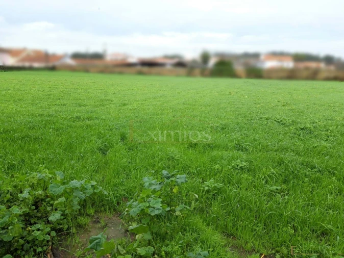 Terreno para Venda em Touguinha e Touguinhó Foto 1