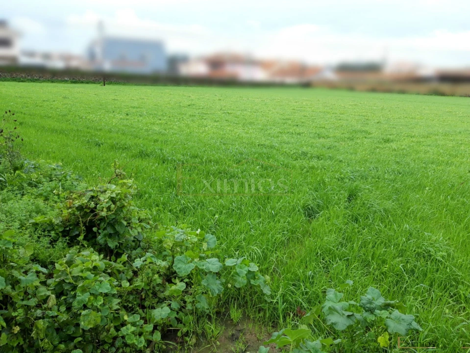 Terreno para Venda em Touguinha e Touguinhó Foto 3