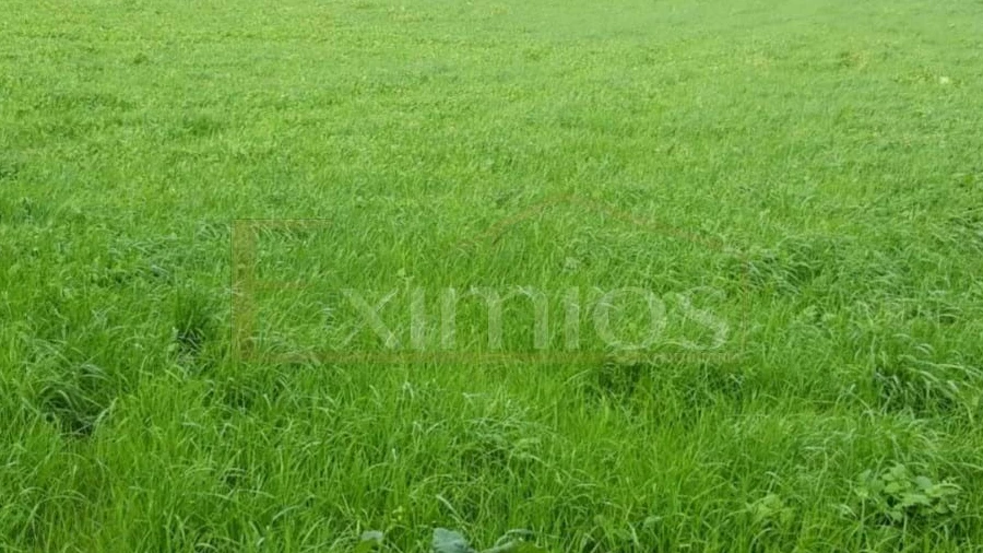 Terreno para Venda em Touguinha e Touguinhó