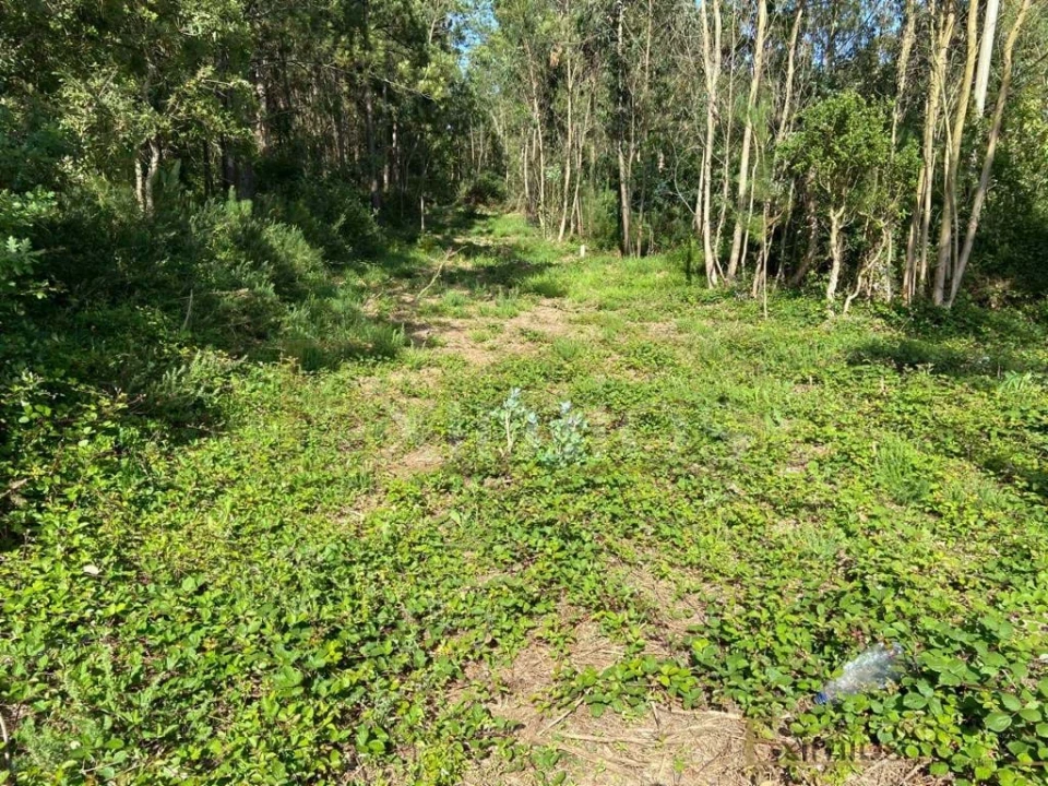 Terreno para Venda em Labruge Foto 2
