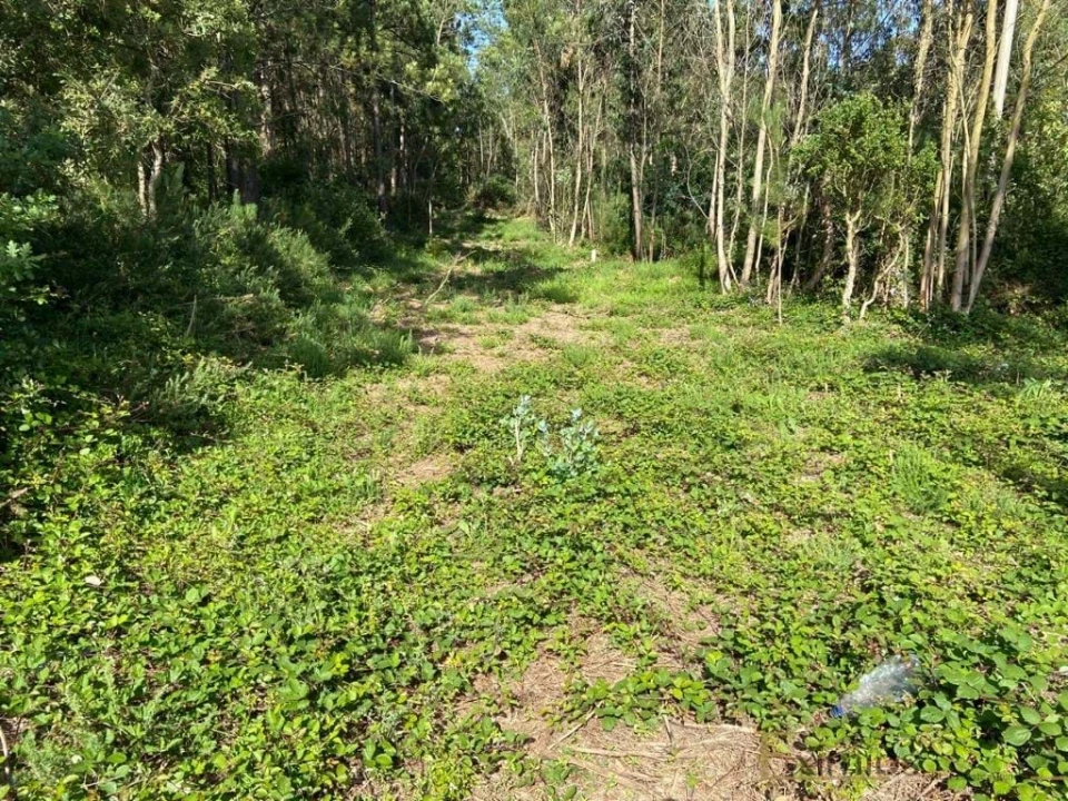 Terreno para Venda em Labruge Foto 5