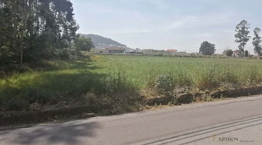 Terreno para Venda em Laundos Foto 2