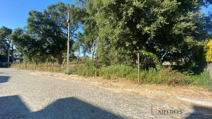 Terreno para Venda em Arvore Foto 3