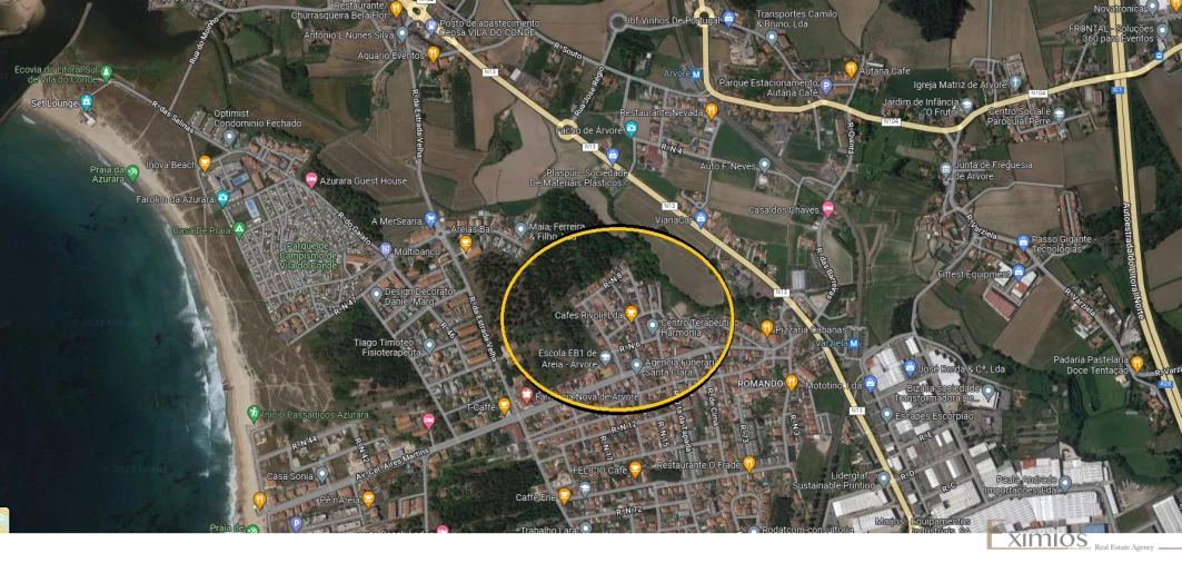 Terreno para Venda em Arvore