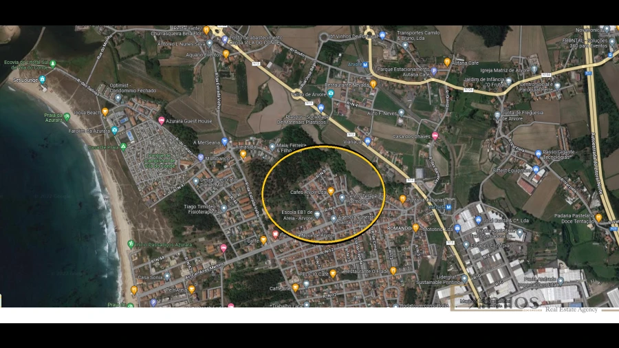 Terreno para Venda em Arvore