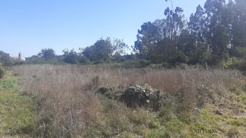 Terreno para Venda em Póvoa de Varzim, Beiriz e Argivai