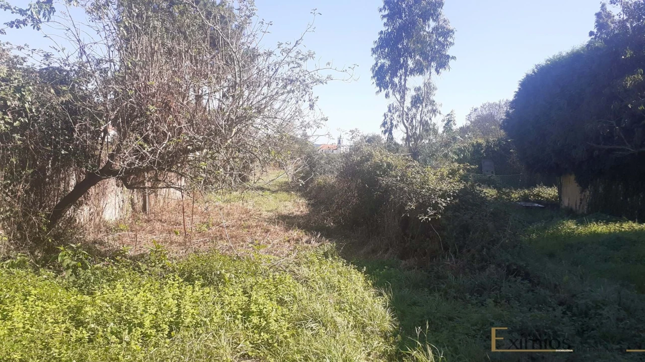 Terreno para Venda em Póvoa de Varzim, Beiriz e Argivai Foto 3