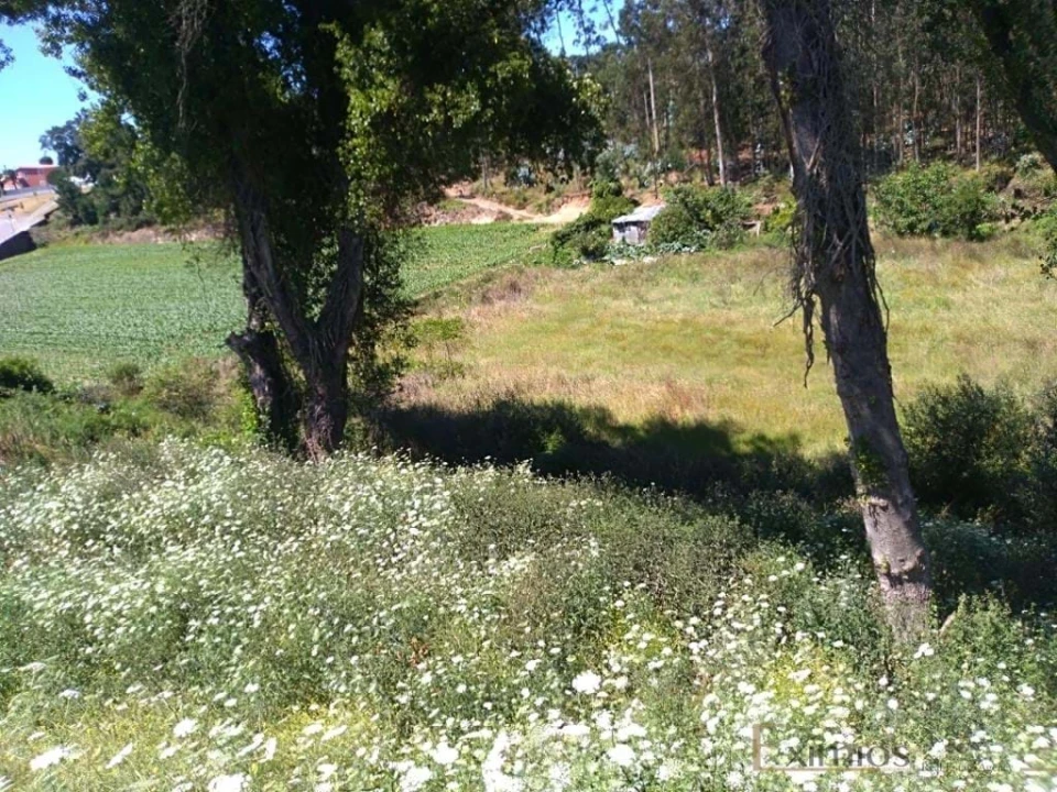 Terreno para Venda em Vila do Conde Foto 4