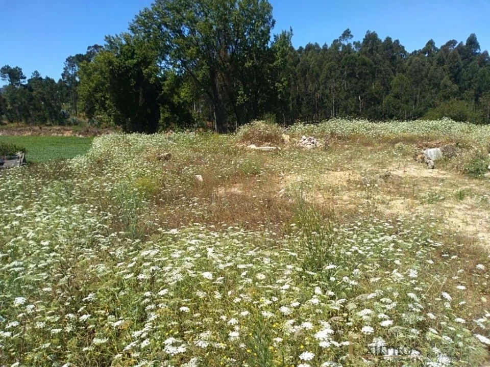 Terreno para Venda em Vila do Conde Foto 6