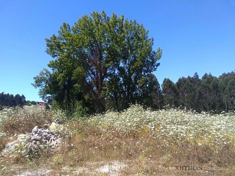 Terreno para Venda em Vila do Conde Foto 2
