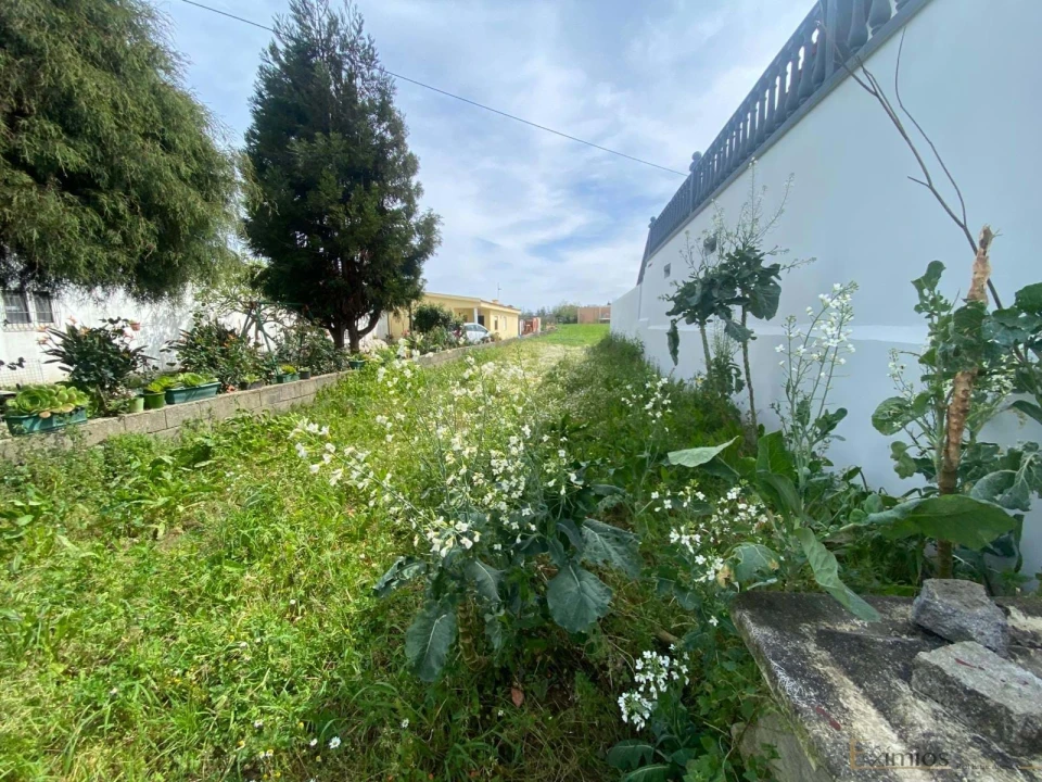 Terreno para Venda em Mindelo Foto 2