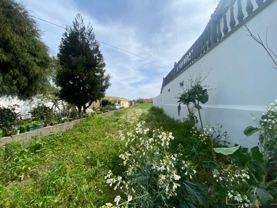 Terreno para Venda em Mindelo Foto 4