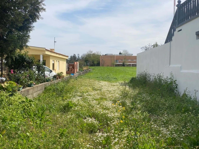 Terreno para Venda em Mindelo Foto 5