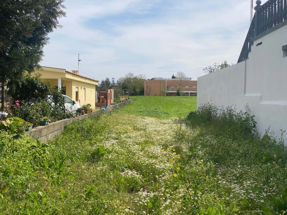 Terreno para Venda em Mindelo Foto 5