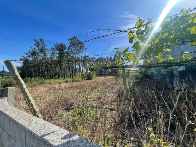 Terreno para Venda em Cristelo Foto 1