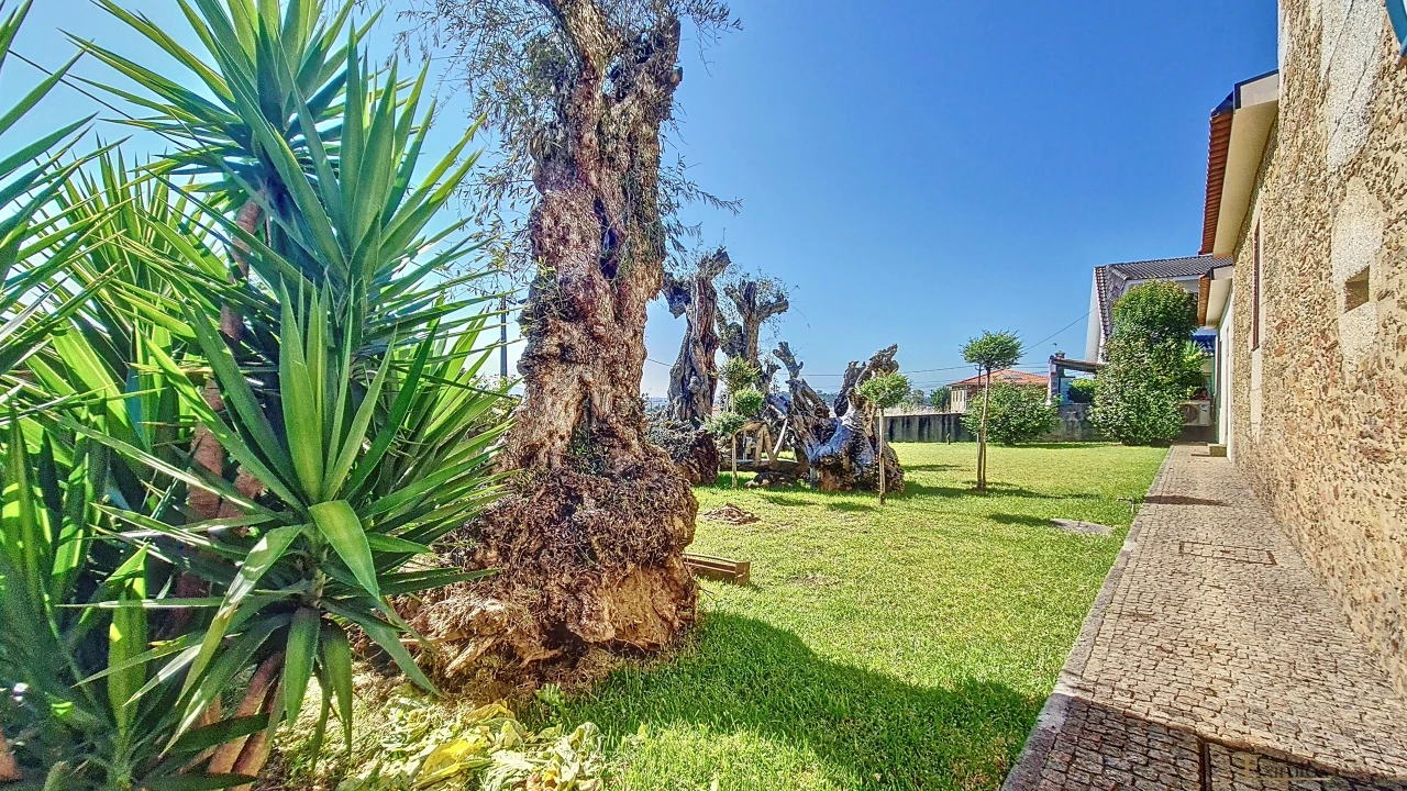 Quinta T4 para Venda em Balazar Foto 17