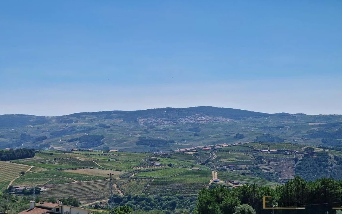 Moradia T3 para Venda em São Lourenço de Ribapinhão Foto 19