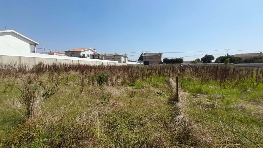 Terreno para Venda em Vilar e Mosteiró Foto 4