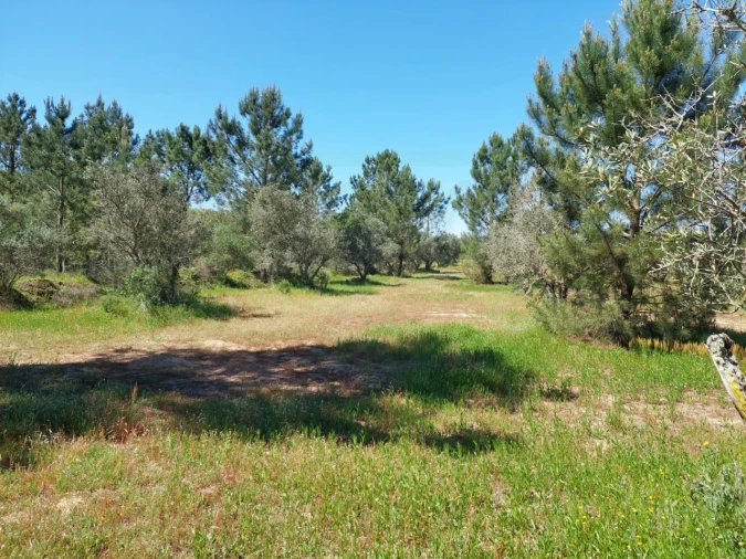 Terreno Agricola ou Rústico para Venda em Grândola e Santa Margarida da Serra