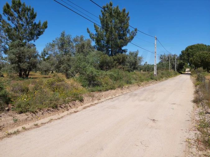 Terreno Agricola ou Rústico para Venda em Grândola e Santa Margarida da Serra Foto 8