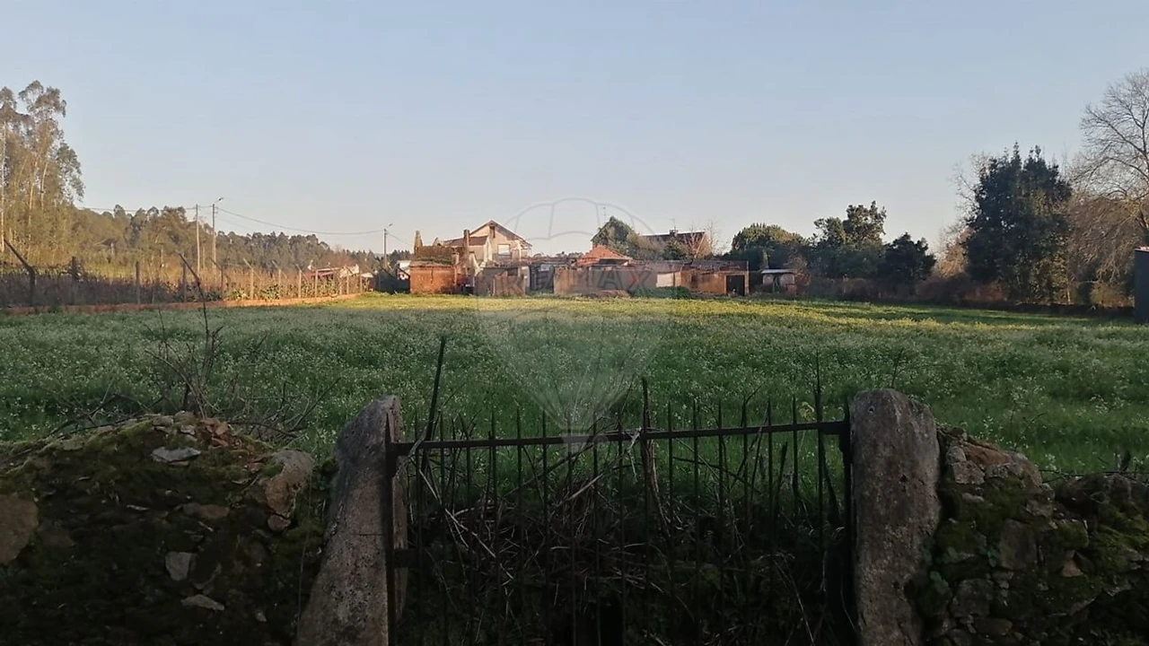 Terreno para Venda em Loureiro Foto 5