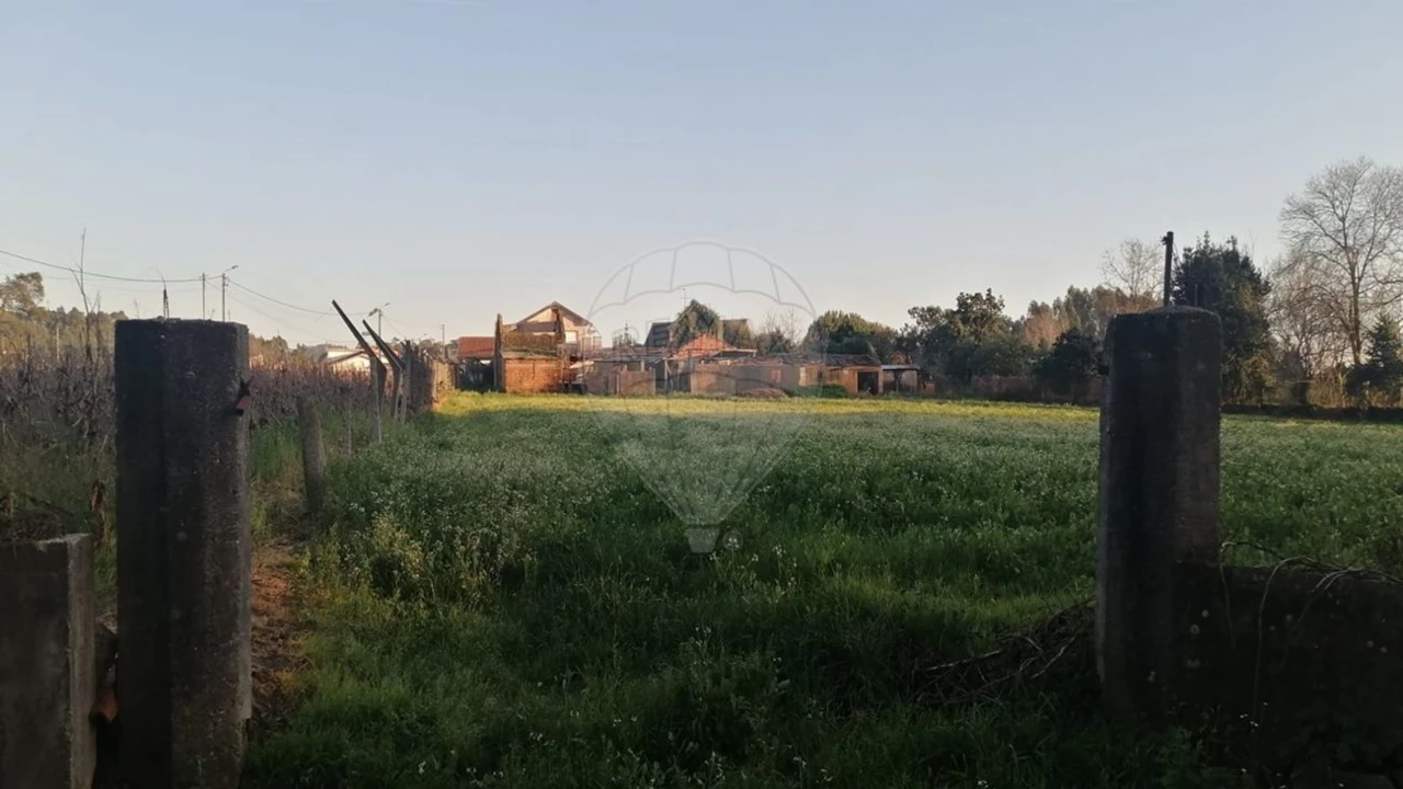 Terreno para Venda em Loureiro Foto 6