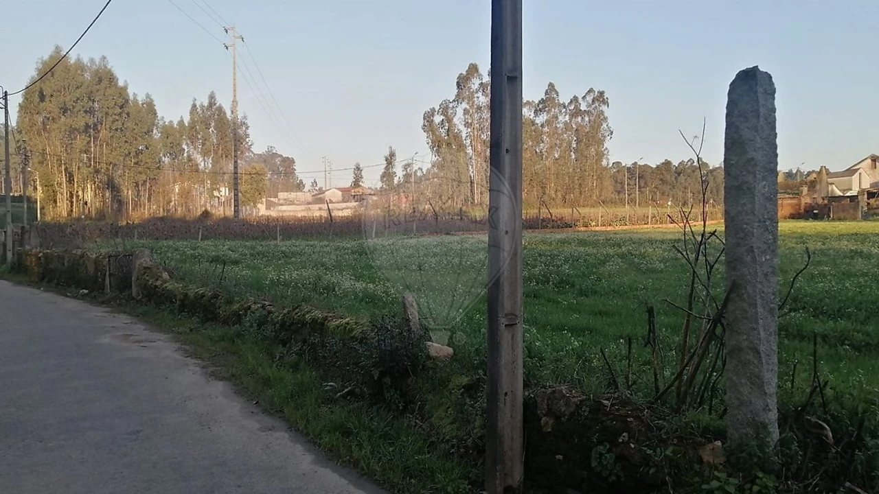 Terreno para Venda em Loureiro Foto 3