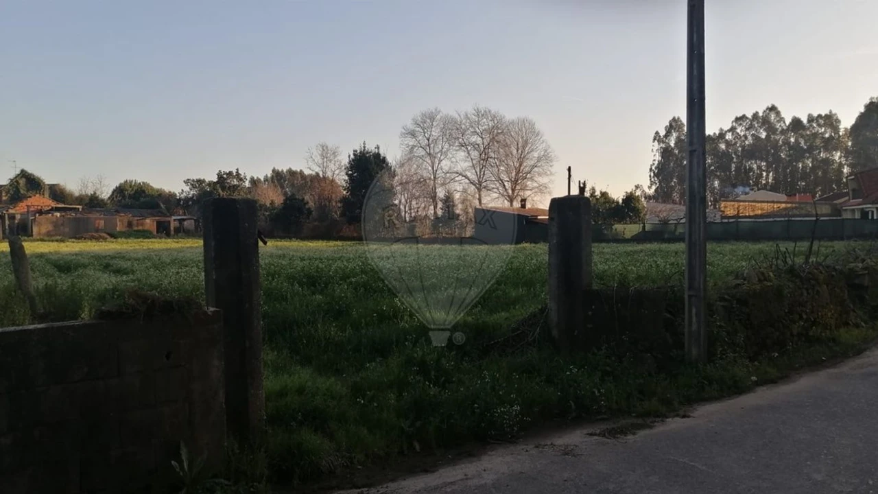 Terreno para Venda em Loureiro Foto 8