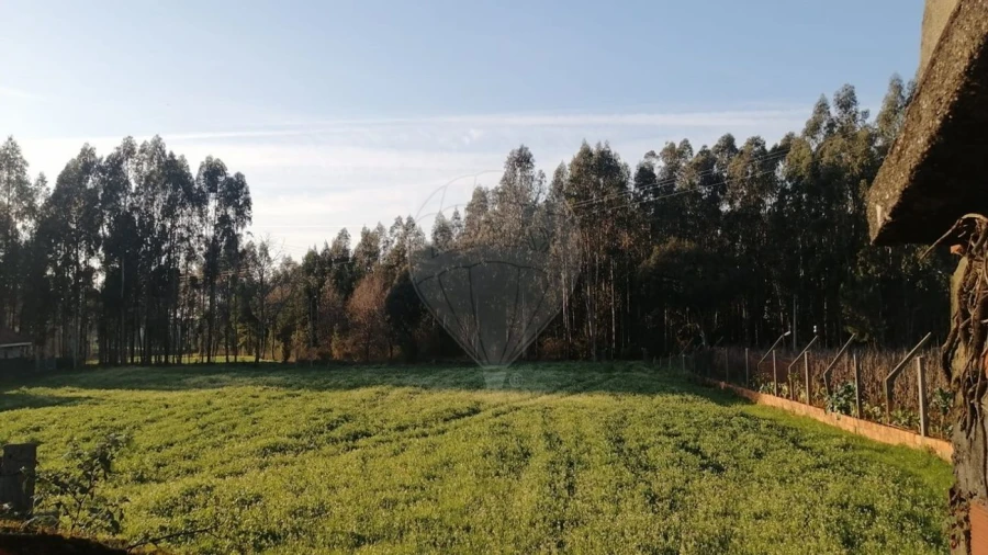 Terreno para Venda em Loureiro