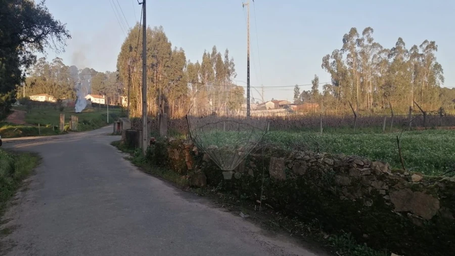 Terreno para Venda em Loureiro Foto 4