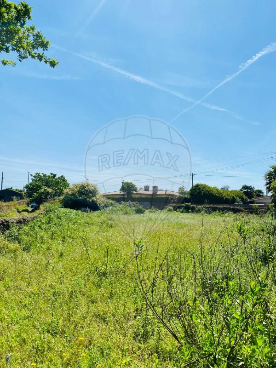 Moradia T2 para Venda em Loureiro Foto 7