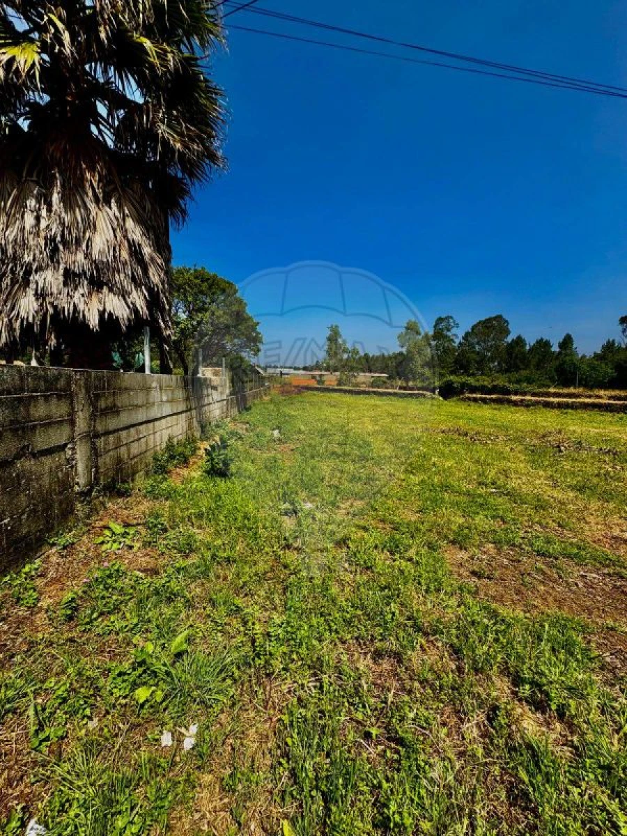 Moradia T2 para Venda em Loureiro Foto 2