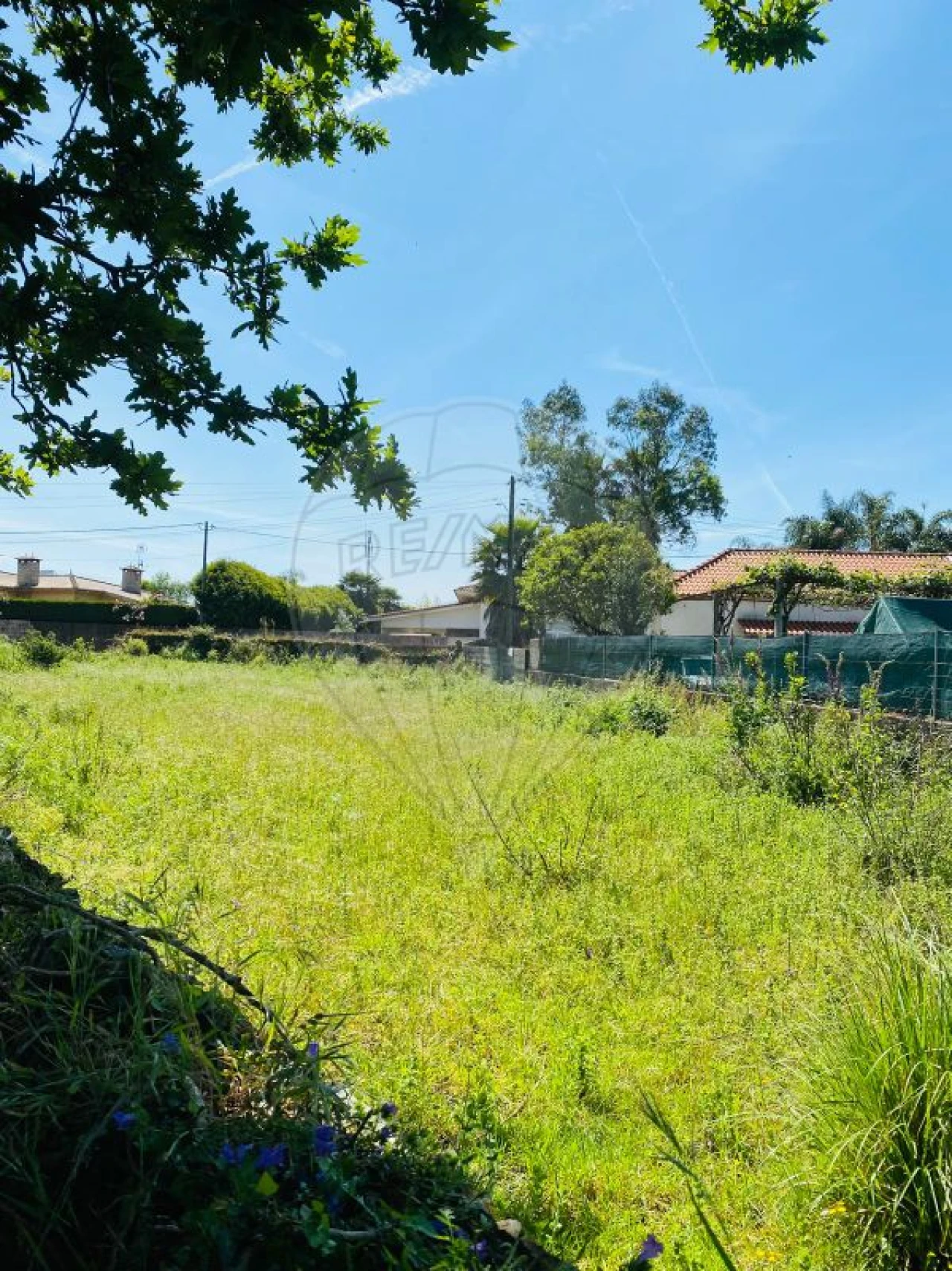 Moradia T2 para Venda em Loureiro Foto 5