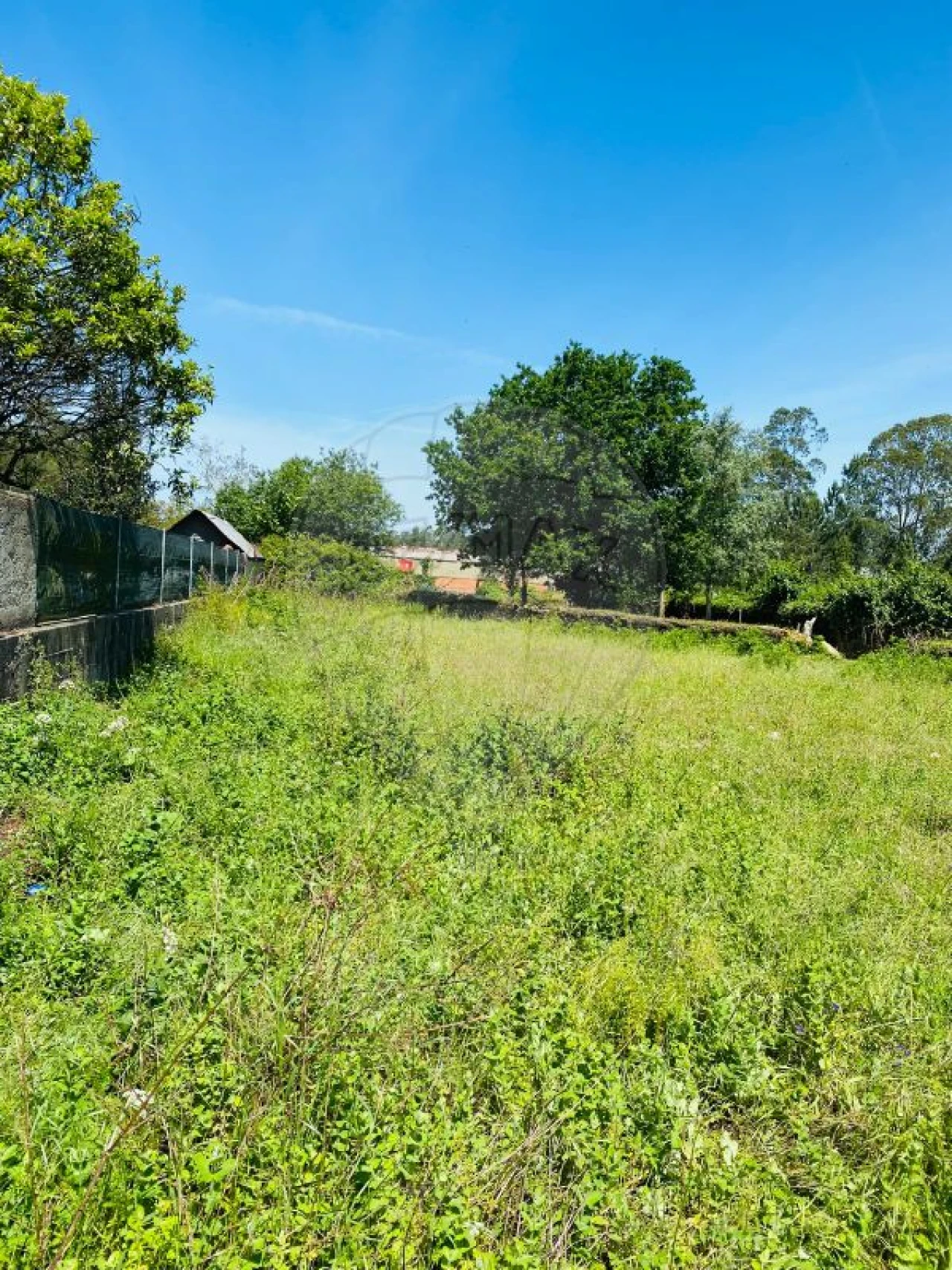 Moradia T2 para Venda em Loureiro Foto 8