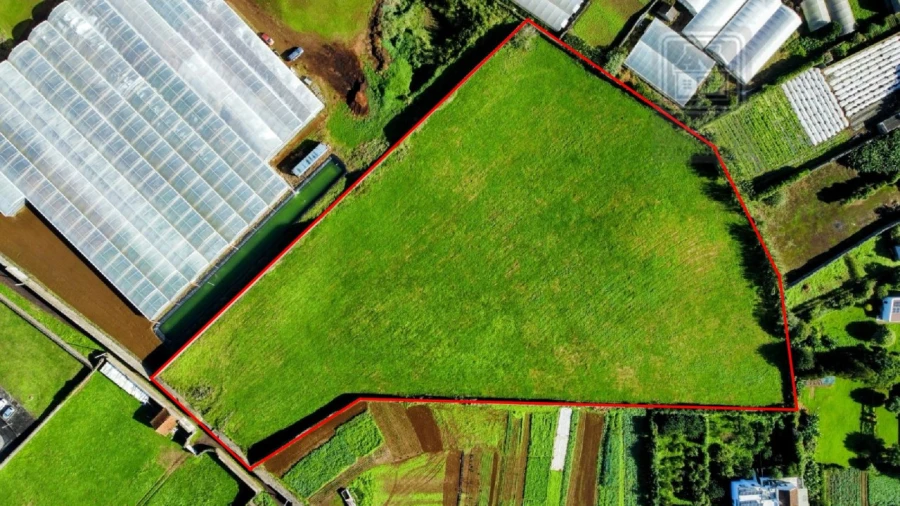 Terreno para Venda em Rosto do Cão (Livramento) Foto 3