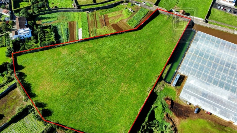 Terreno para Venda em Rosto do Cão (Livramento) Foto 4