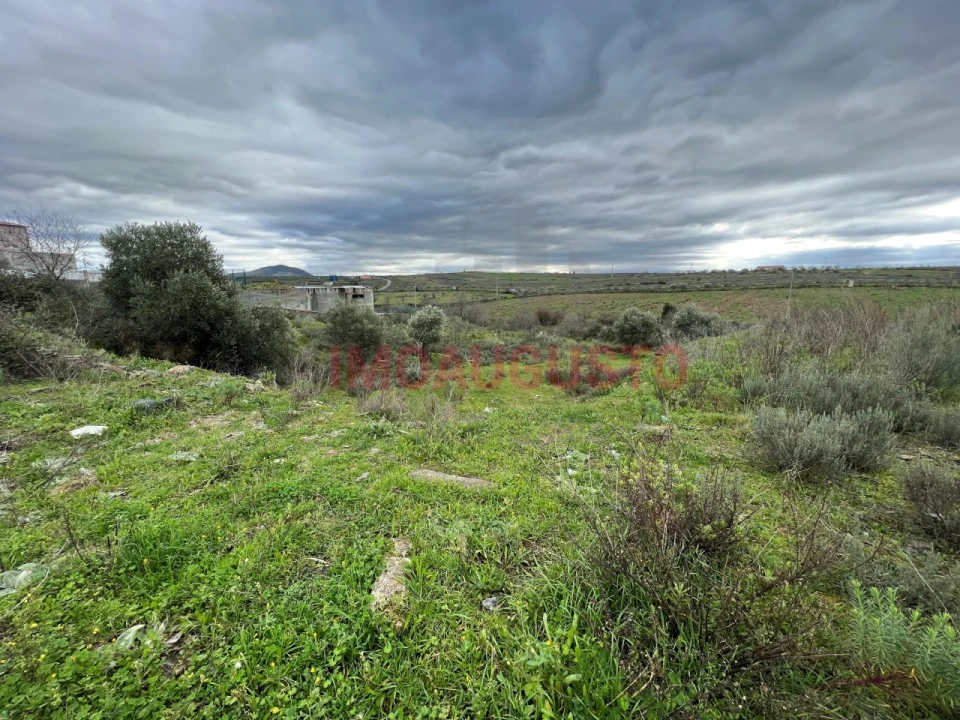 Terreno Comércio / Armazém para Venda em Vila Nova de Foz Côa Foto 3