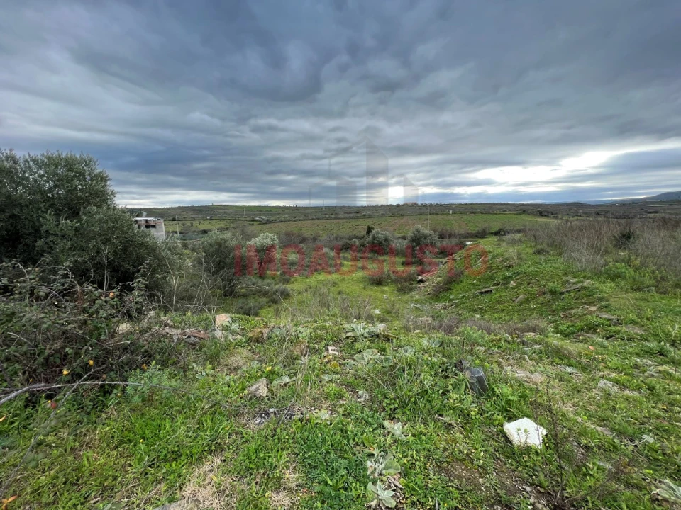 Terreno Comércio / Armazém para Venda em Vila Nova de Foz Côa Foto 4