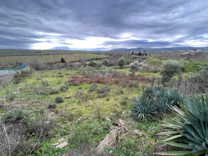 Terreno Comércio / Armazém para Venda em Vila Nova de Foz Côa Foto 1