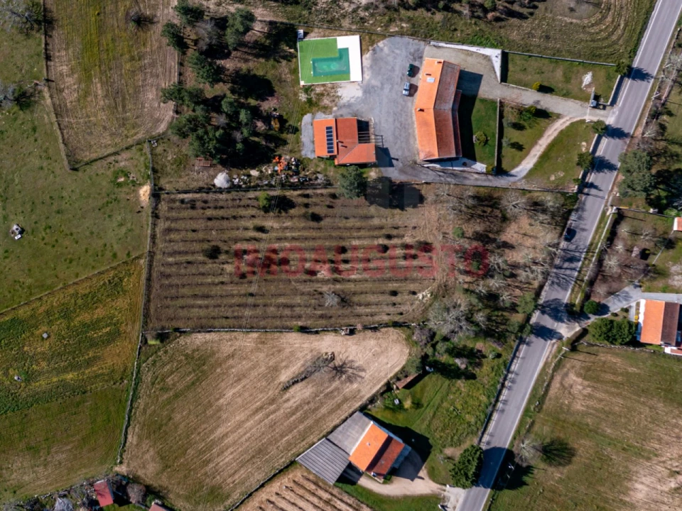 Terreno para Venda em Jarmelo São Pedro Foto 7