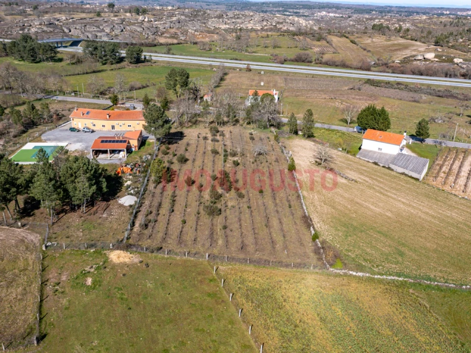 Terreno para Venda em Jarmelo São Pedro Foto 9