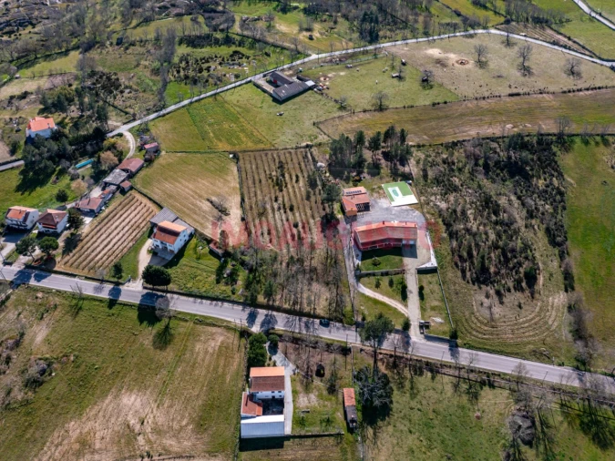 Terreno para Venda em Jarmelo São Pedro Foto 8