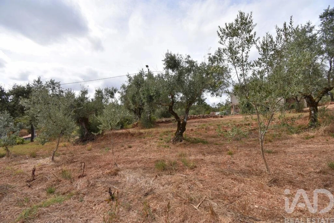 Moradia T3 para Venda em Podentes Foto 20