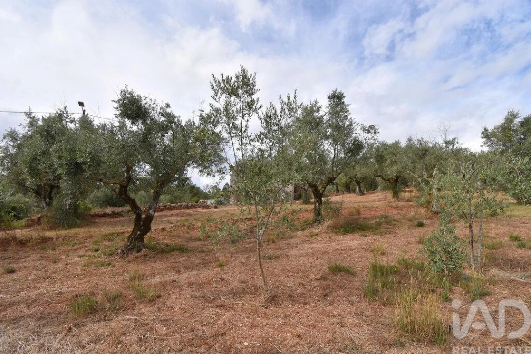 Moradia T3 para Venda em Podentes Foto 21