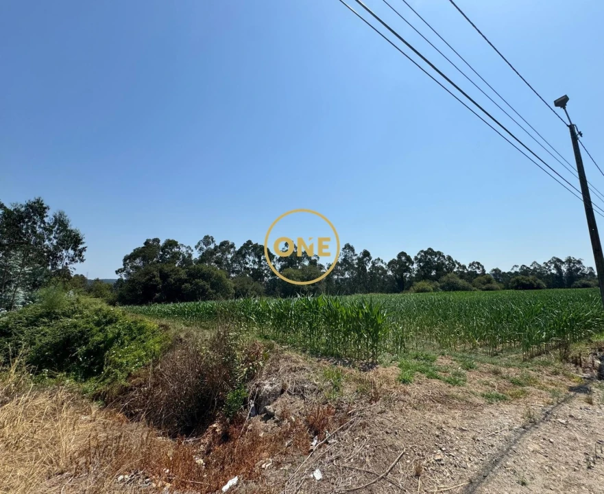 Terreno para Venda em Covelas Foto 6