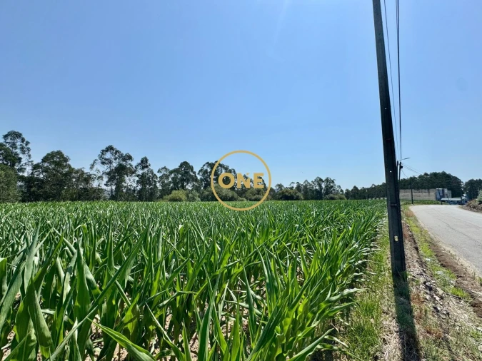 Terreno para Venda em Covelas Foto 3