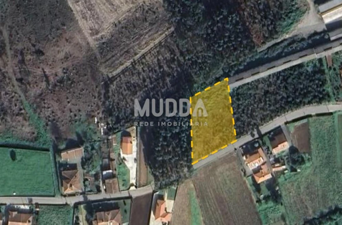 Terreno para Venda em Branca Foto 3